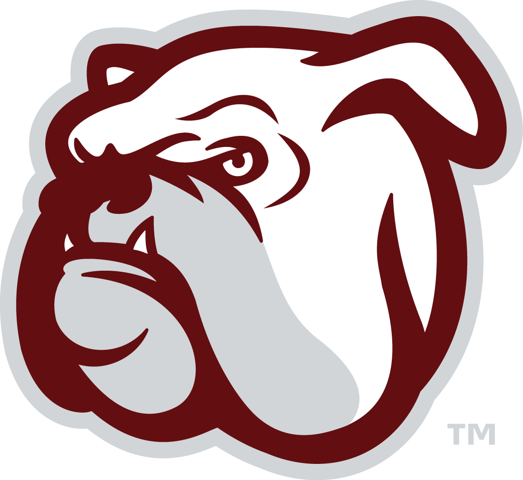 Mississippi State Bulldogs 2009-Pres Alternate Logo v6 diy iron on heat transfer